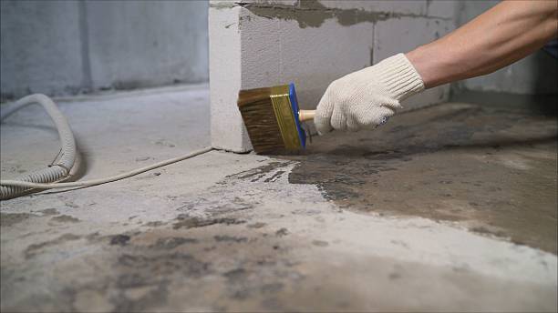SJ Waterproofing Pros Waterproofing coverage map for Corunna, MI and surrounding area